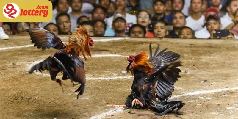 Điểm mạnh vượt trội khiến trò cá cược này trở nên vượt trội