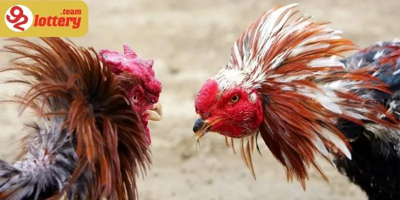 Giữ được tinh thần máu lửa mà còn nâng cao chất lượng giải trí