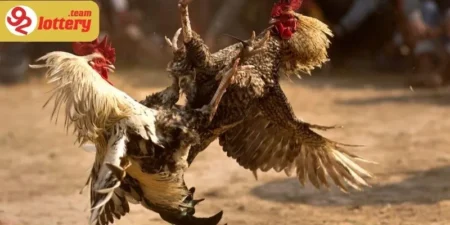 Người chơi dễ dàng hòa mình vào diễn biến trận đấu