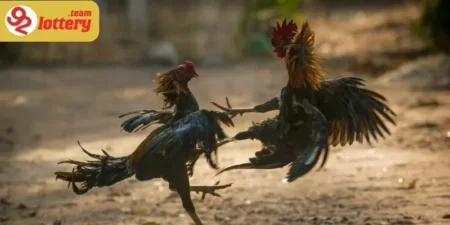 Thành công không thể thiếu phần phản hồi tích cực từ người dùng